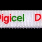 7 Digicel_TLCxyloband.jpg