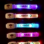 9 Knicks. Chase Xylobands TLC1.jpg